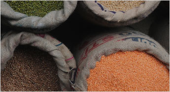 pulses-inflation-has-swung-8100-bps-in-latest-cycle