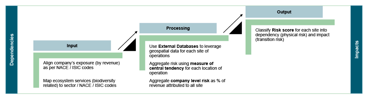 Biodiversity risk assessment Infographic
