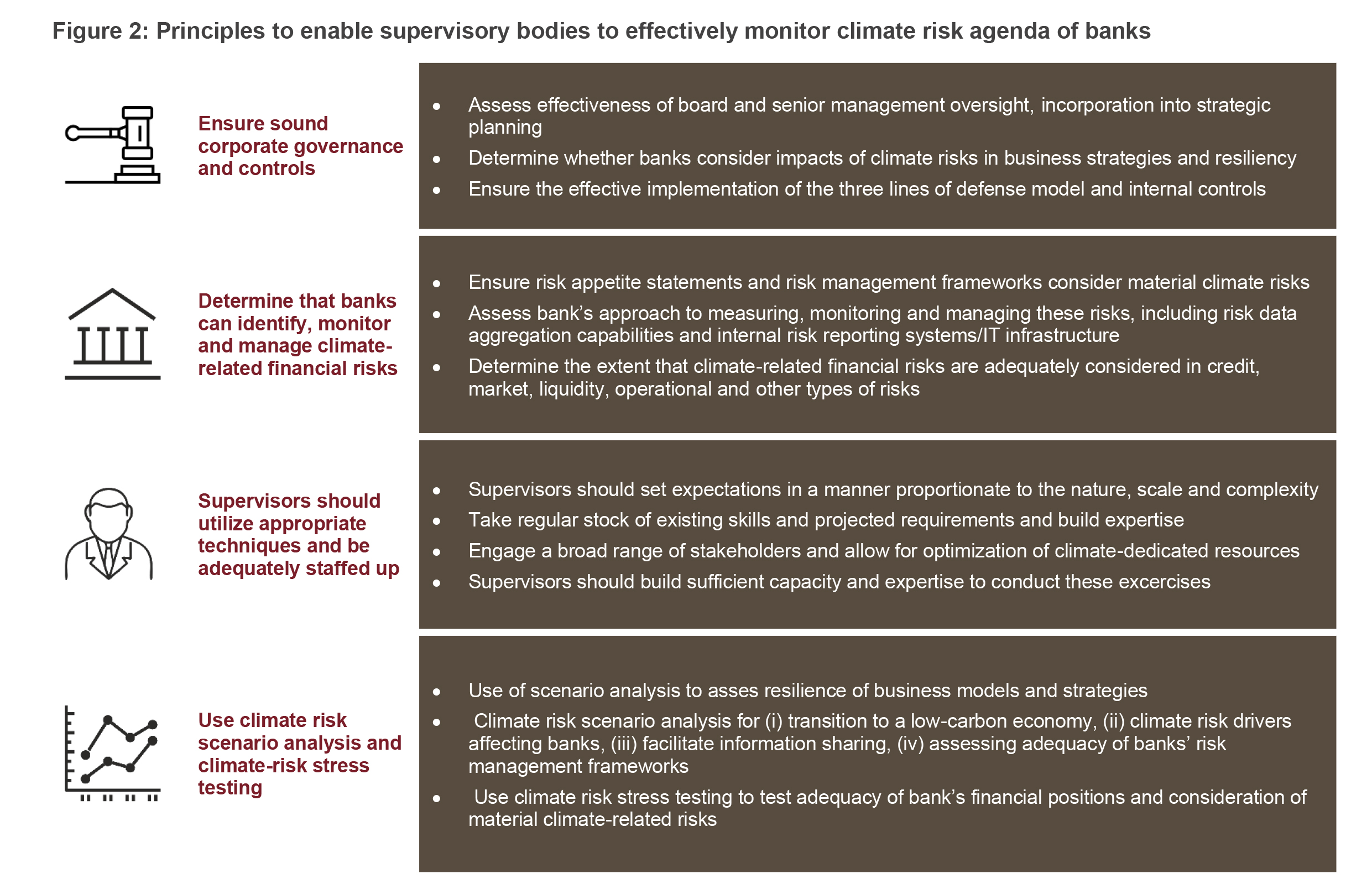 Figure 2: Principles to enable supervisory bodies to effectively monitor climate risk agenda of banks